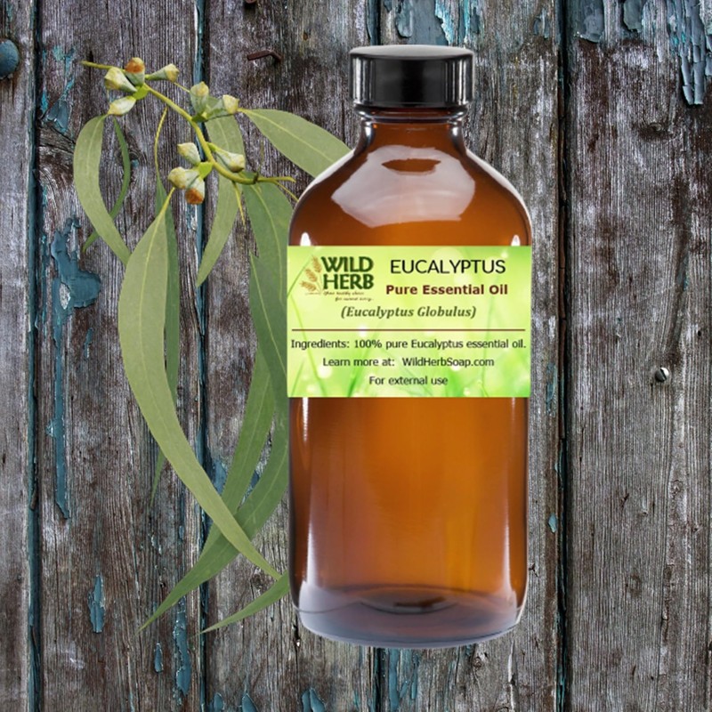 Wild Herb Eucalyptus Pure Essential Oil (16 OZ)
