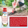 Tropical Oasis–Premium Liquid Glucosamine Chondroitin & MSM- Liquid Joint Support