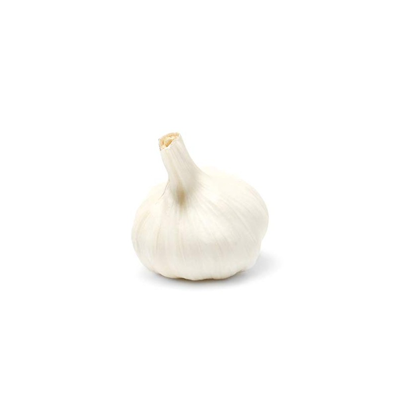 Christopher Ranch, Garlic Elephant, 1 Each