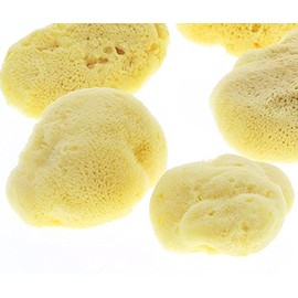 Baby Silk Sponge Bath Sponge Kosmetex High-Quality Natural Sponge Levantiner from the Mediterranean Sea 10 cm
