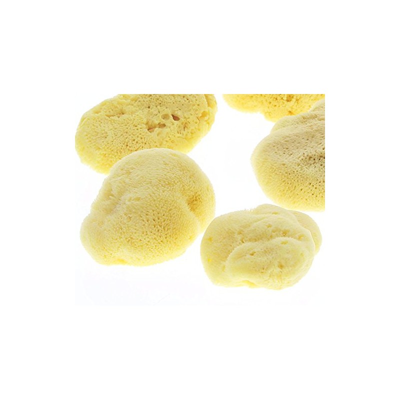 Baby Silk Sponge Bath Sponge Kosmetex High-Quality Natural Sponge Levantiner