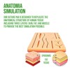 Suture Kit for Training & Practice (30 Nylon Sutures), Includes