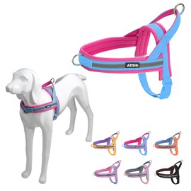 AIITLE Escape Proof Tactical Dog Harness, No Pull Halter Harness with Soft Padded Handle, Adjustable Reflective Quick Fit Pet Vest, Easy for Training Walking Runnintg for Large Dogs Blue-Hot-Pink L