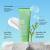Sand & Sky Oil Control - Clearing Face Mask 100g