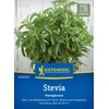 Kiepenkerl Steviasamen Honigkraut 105805