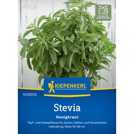 Kiepenkerl Steviasamen Honigkraut 105805