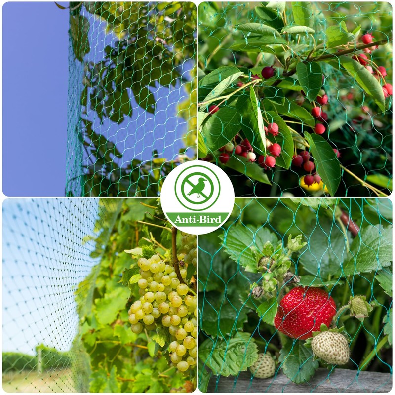 Bird Netting for Garden 13x33ft - Sukh Garden Netting Mesh