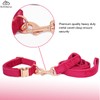 Bubblepup Velvet Dog Collar and Leash Set, Dog Collars for