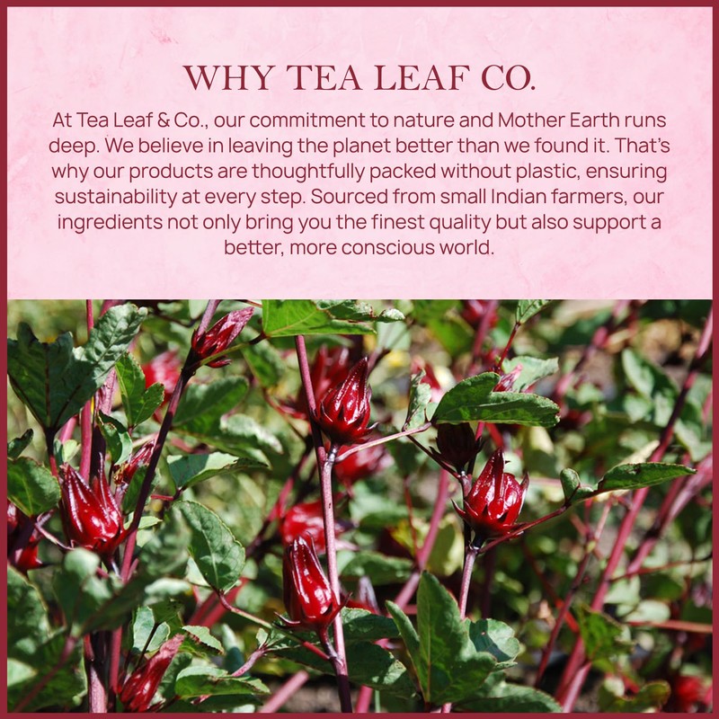 Tealeaf & Co. Hibiscus Tea with Hibiscus Flowers Extract -