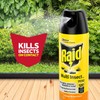Raid Multi Insect Killer, Orange Breeze,15 Ounce (Pack of 3)