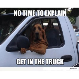 Blood hound  refrigerator magnet   3 x 4 1/2" Made in USA