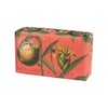 Vintage Boxed Soap – Luxury Scented Bath Soap – Bergamot & Ginger Bath Soap