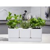 D'vine Dev Herb Garden Planter Set, Plastic Plant Pots with