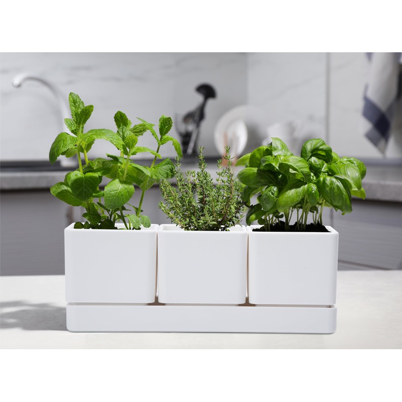 D'vine Dev Herb Garden Planter Set, Plastic Plant Pots with