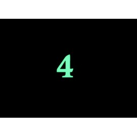 NUMBERS 4” TALL ~ Glow In The Dark Waterproof Weatherproof Vinyl Stickers ~ for Car Truck Vehicle House Street Address Delivery Driver Fleet Logistics Home Number Mailbox (4~4" Tall)