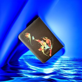 Scrapbook for Football Cards Album 2023, Football Cards, Booklets for Trading Cards and Exchange Cards, Trading Card Albums for Card Collection Cards, 50 Pages 400 Cards Capacity (Black)