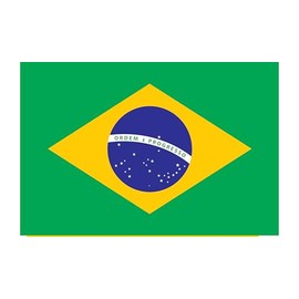 Country Bumper Stickers: USA, Pakistan, India, Brazil, Japan, Israel, UK, Canada, Ukraine, Australia, France, Spain, Italy, Switzerland, South Africa, Libya, Ghana and more (Brazil)