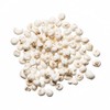 Plum Dragon Herbs Chuan Bei Mu Chinese Herb | Fritillaria Bulb Herb | Bulk Chinese Herb (1 Lb)