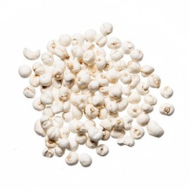 Plum Dragon Herbs Chuan Bei Mu Chinese Herb | Fritillaria Bulb Herb | Bulk Chinese Herb (1 Lb)