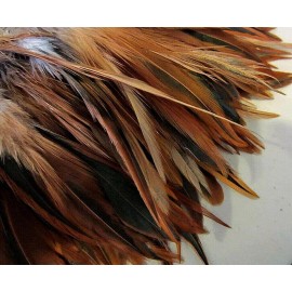 The Fabulous Feather Store Rooster Saddle Hackle Feathers - Strung Furnace - 5-7" - 50 Pcs.