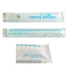 Commercial Disposable (Instant) Powder Toothbrushes (Set of 100) with Extra