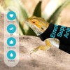Bearded Dragon Lizards Clothes with Leash Set - Cute Lizard