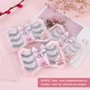 Dorisue eyelashes Cat eye shape Light volume elegant natural Foxying