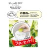 Kokubo Salad Pot, Made in Japan, KK-495, Clear