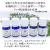 Beautiful Biwako Soap Whole Body Shampoo