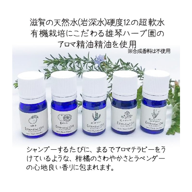 Beautiful Biwako Soap Whole Body Shampoo