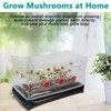 Tnfeeon Versatile Inflatable Mushroom Growing Kit, Portable Monotub Set with