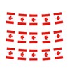 Canada Flags Canadian Small String Mini Flag Pennant Banner Decorations