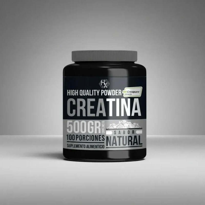 Creatina Pura Monohidratada Holix Lab 500g 100 Serv Creatina Micronizada