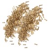 500Pcs Hollow Rivet Brass Decorative Through Hole Excellent Corrosion Resistance