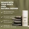 Tallow Sunscreen SPF 25 with Non Nano Zinc Oxide –