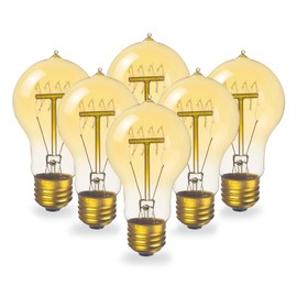 Visther A60 Edison Bulbs 60 Watt Incandescent Light Bulbs Dimmable, 6 Pack