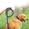 Heavy Duty Nylon Braided Rope Strong 4 FT Dog Leash