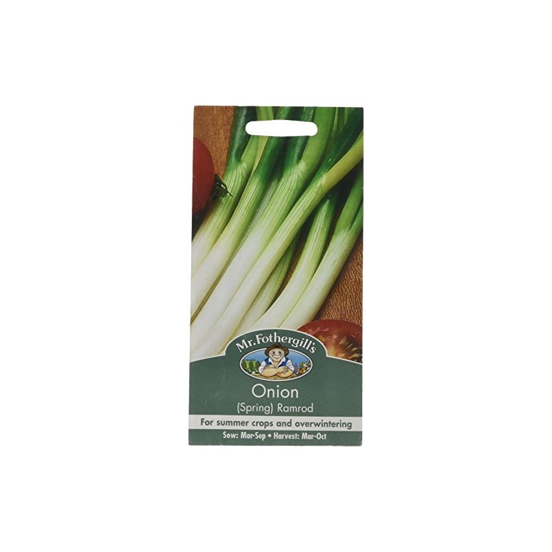 Mr Fothergill's 21423 Vegetable Seeds, Onion (Spring) Ramrod