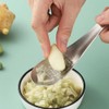 Stainless Steel Grater Spoon,Garlic Grinders Grating Spoons,Grater Grinder Spoon,Ginger Grater