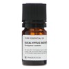 eucalyptus radiata 5ml incent essential oil essential oil