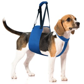 Adjustable Dog Lift Harness with Fixing Strap — Dog Lift Sling for Dogs, Hind Leg Support, Soft Rehab Harness for Weak Rear Legs, Ideal for Senior, Injured, Disabled Dogs and Surgery Recovery (M)