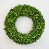 Preserved Boxwood Wreath for Summer Decor – 16 Inch Lush