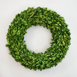 Preserved Boxwood Wreath for Summer Decor – 16 Inch Lush Indoor Greenery – Vibrant Look All Season – Fade-Resistant & Eco-Friendly by Birbird Decor