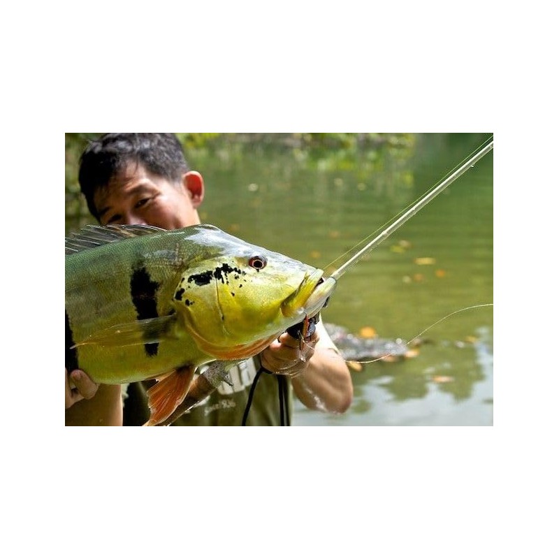 Rapala Jigging Rap 07 Green Tiger UV Lure, Multi, One