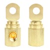 2Pcs 0 Gauge Brass with Gold Plated Ring Set Screw