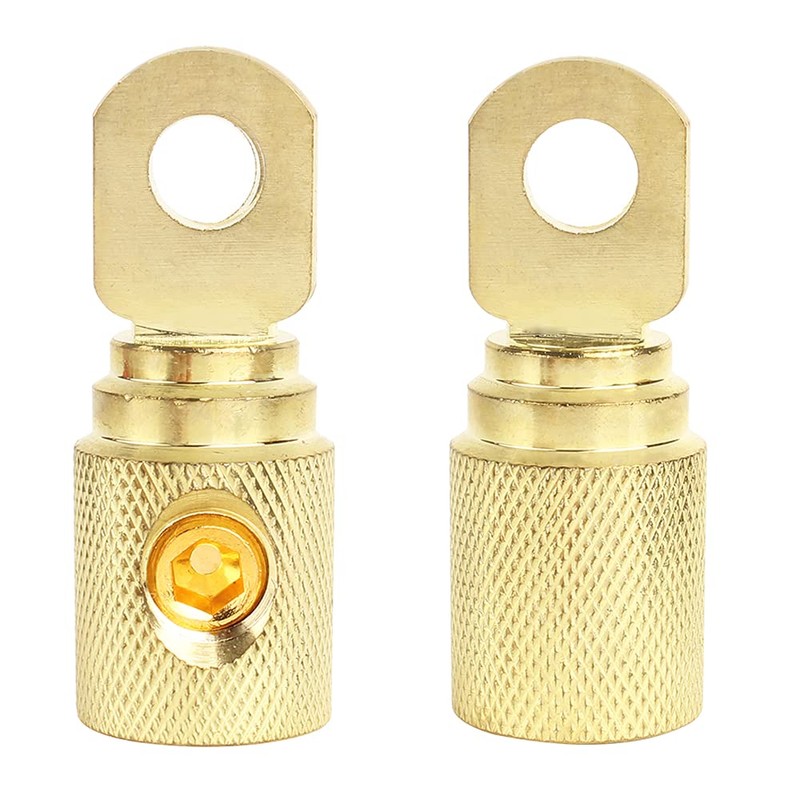 2Pcs 0 Gauge Brass with Gold Plated Ring Set Screw