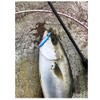 Glory Fish LU-001 Metal Jig, Sardine Jig, Throw, Silver ZG,