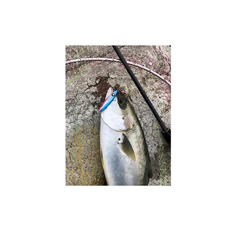 Glory Fish LU-001 Metal Jig, Sardine Jig, Throw, Silver ZG,