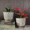 Gepege 6 Inch Beaded Ceramic Planter Set of 2 with