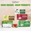 LeafLea 100% Pure Ginger Root Tea Bags – Spicy &